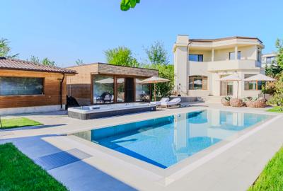 Economisește 1 Milion €. Conac Modern & Wellness Snagov. Fără „Taxa de Lac”! - 4