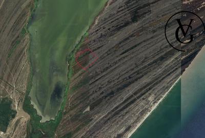 Investitie- Teren Corbu-Grindul Lui Chituc - 3