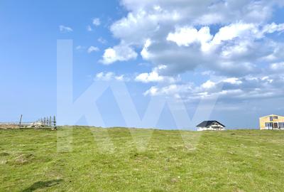 Teren 1003 mp în Păltiniș | Priveliște panoramică către munți - 2