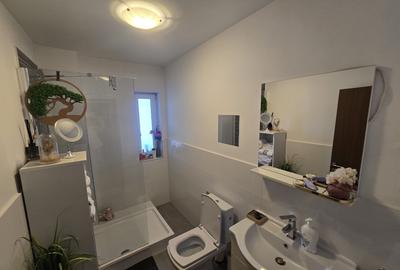 Am de vanzare duplex, Timișoara, mobilat și utilat, proprietar - 11
