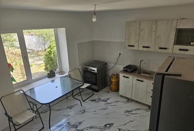 Casa Beregsaul mic+teren 1550 mp - 13
