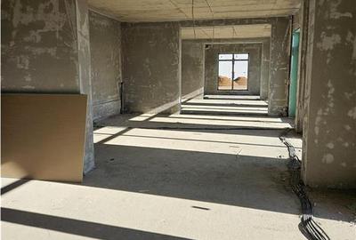 Spatiu Comercial - 300 mp - Doamna Stanca - 7