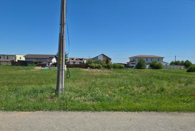 TEREN PREMIUM DE VÂNZARE ÎN DUMBRĂVIȚA – LÂNGĂ PĂDURE - 2