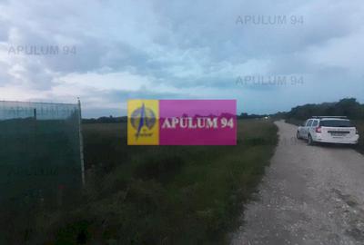 Teren aproape de Bucuresti langa padure - 1