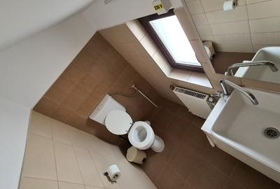 Inchiriez spatiu comercial + hala productie/depozit - 6
