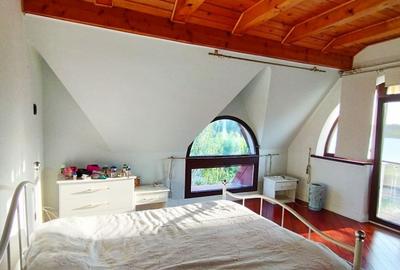 SUPER OCAZIE SE VINDE VILA DE LUX SI CASA DE OASPESTI IN BALOTESTI LA LAC - 18