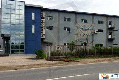 HALA INDUSTRIALA DE INCHIRIAT - EUROBUSINESS I - 1