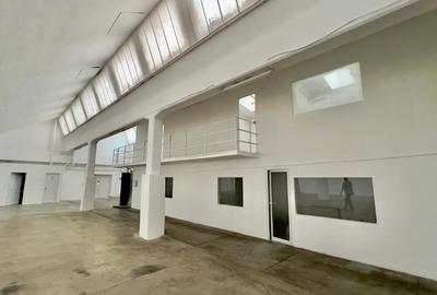 Pantelimon / Republica - Spațiu Industrial / Producție / Depozitare - 1