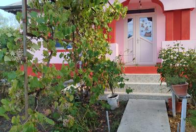 VANZARE CASA INDIVIDUALA - 10