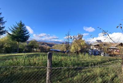 Vila Bughea de Jos - Campulung - 23