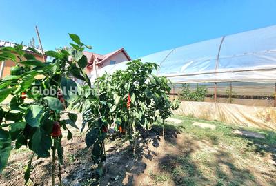 Vila P+1+Teren 1094MP + Gradina + Livada + Garaj | 1 Decembrie - Sos. Giurgiului - 39