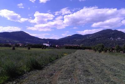 Teren Construcții intravilan de 3400 mp, în Exterior Vest