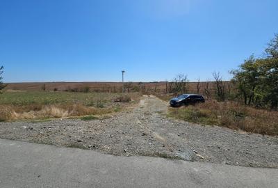 Teren Extravilan 10000 Mp Sibioara Constanta - 5