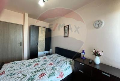 Apartament 2 camere de inchiriat str. Doamna Stanca - 6