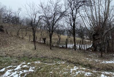Teren 4652 mp cu izvor pe el, Lunca Mare, lângă păstrăvăria Doftana - 8
