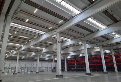 Spatiu Industrial - 5000 mp - Logistica - Depozitare - Distributie - 12