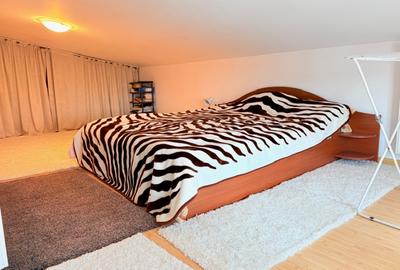 Studio cochet zona 1Mai-Pta Chibrit//Mobilat-Utilat//Boxa subsol - 3