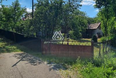 CASĂ LA ȚARĂ, SÂMBOLENI, COMUNA CAMARAȘU - 19