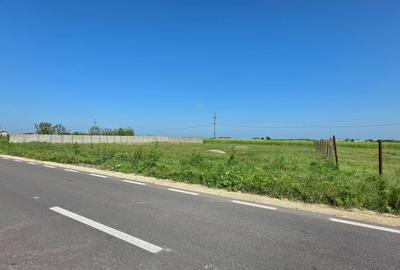 Teren extravilan 2000 mp – deschidere 44 ml la DN – Movilița - 4