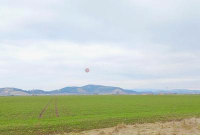 Teren Construcții extravilan de 16875 mp, în Hărman