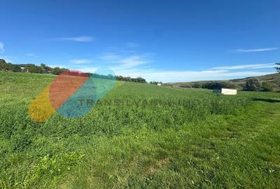 Teren intravilan 2550mp in Sopor - 2