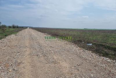 TEREN INDUSTRIAL 20.000 MP - CERNICA - A2 PUZ APROBAT - 1