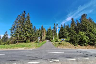 TEREN DE VANZARE 7000 MP INTRAVILAN -STATIUNEA PALTINIS! - 5