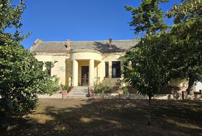 Cenad-Ultracentral-2 fronturi- Casa cu ahitectura deosebita - 3