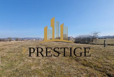 TEREN DE VÂNZARE 1000 MP ȘELIMBĂR ZONA TROIȚĂ | INVESTIȚIE - 3