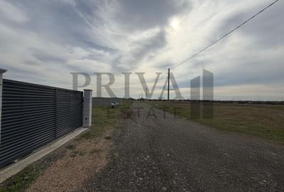 Teren intravilan, 838 mp, fs 19 mp, Mosnita Veche - 4