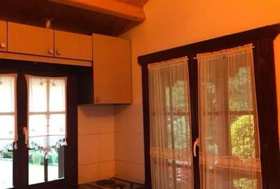 Pensiune montana cu 3200 mp teren in Bicaz, judet Neamt - 6