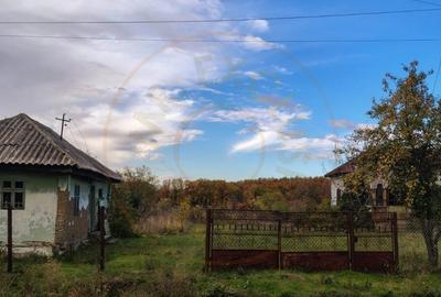 Teren Construcții intravilan de 6975 mp, în Moșoaia