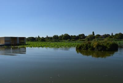 Conac lac Snagov cu ponton - 39