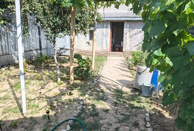 Casa 4 camere, Radu Negru - Buzaului, Teren - 264 mp - 8