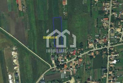 Teren intravilan 4.700 mp - în Jucu de Mijloc - 1