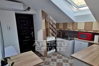 Apartament cu 2 camere de inchiriat, zona Telegrafului, Timisoara - 6