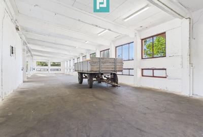 Hală industrială cu multiple destinații în Nădlac - 5