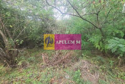 Teren de vânzare în Câmpina - 1