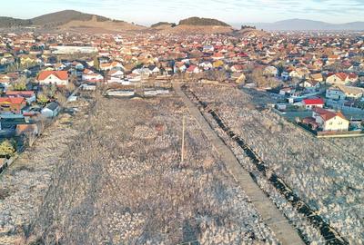 Teren intravilan cu Autorizatie de Construire - 11