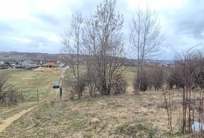 Teren intrare Bran, aproape de Penny, la Drumul European - 1