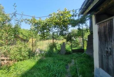 CASA DE VANZARE IN SERCAITA - 22