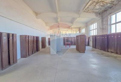 De vanzare spatiu industrial in Turnu Magurele - Teleorman - 28