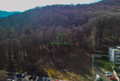 Teren - Caciulata - Deschidere la E81 - 2