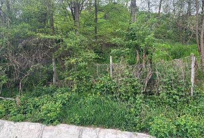 Imobil comercial/turistic S+P+2 - oportunitate investitie Muereasca ( Valcea) - 12