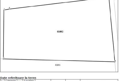 Teren agricol extravilan de 2354 mp, în Nicolae Bălcescu - 5