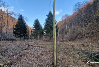 Teren Intravilan de Vânzare – 3279 MP – Coada Lacului Tarnița - 2