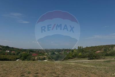 Teren de Vânzare, Intravilan, 5511 mp, în Zona de Dealuri cu Panoramă - 7