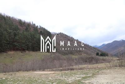 Un colt de rai la pretul unei garsoniere - 5