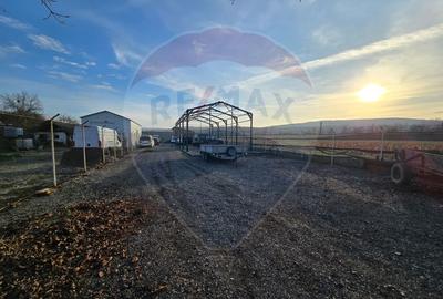 Hală industrială Dej - 1