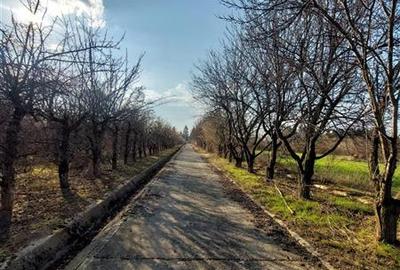 Onești | Teren 33 ha cu utilități • Se vinde integral sau în lotu - 1